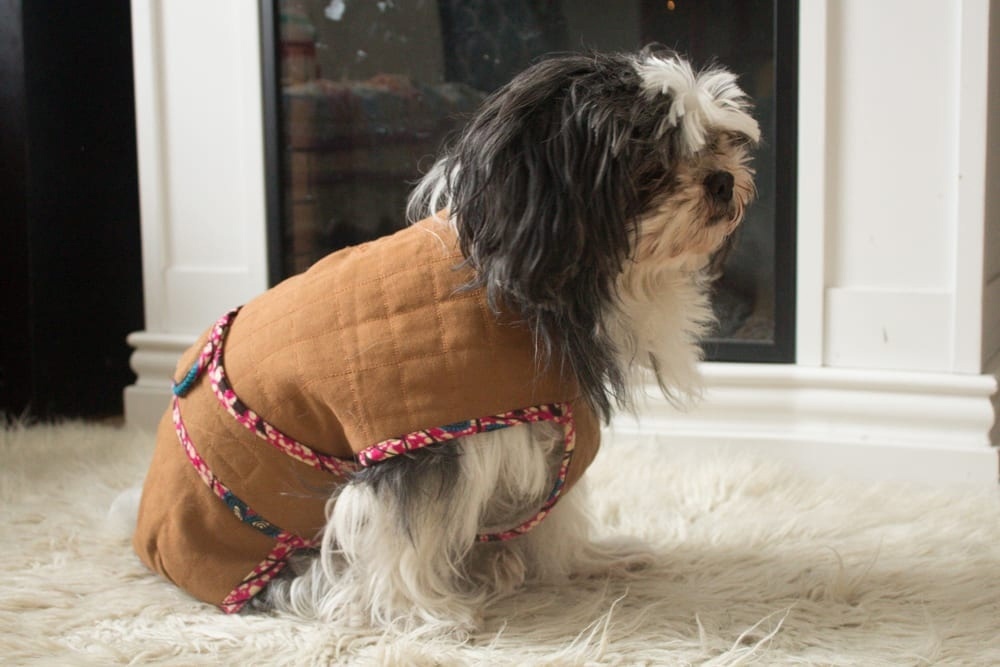 Выкройка Пальто-попона для собаки (11 размеров)